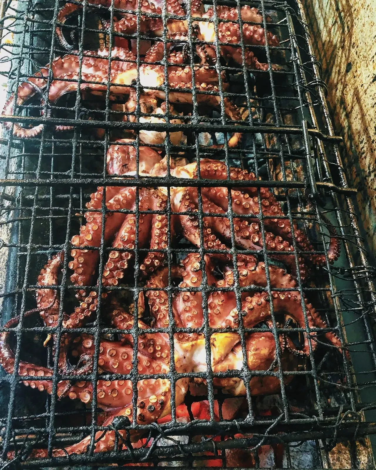 Grilled octopuses on a barbecue grill