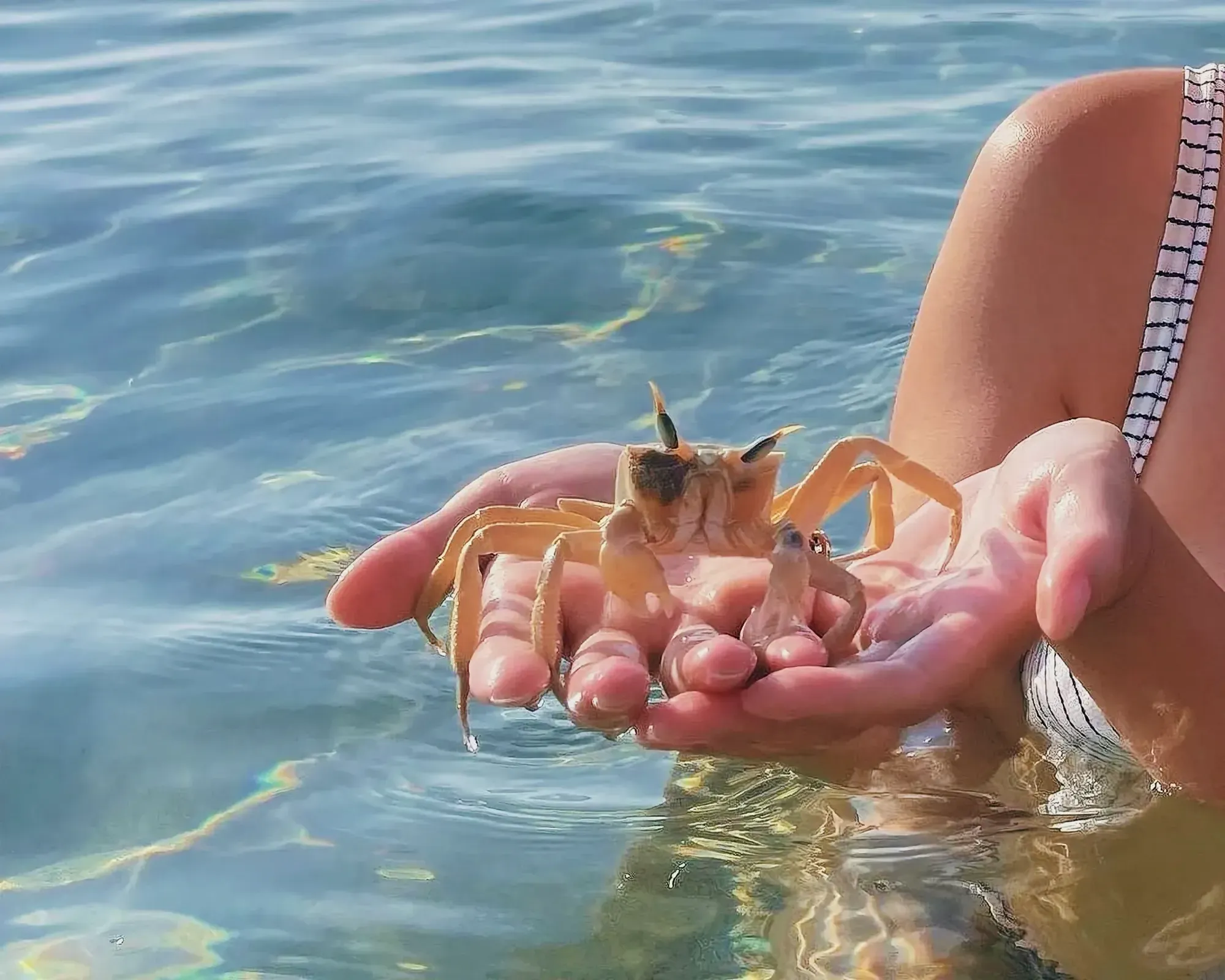 Person holding a crab close to water in Iskele, Northern Cyprus.