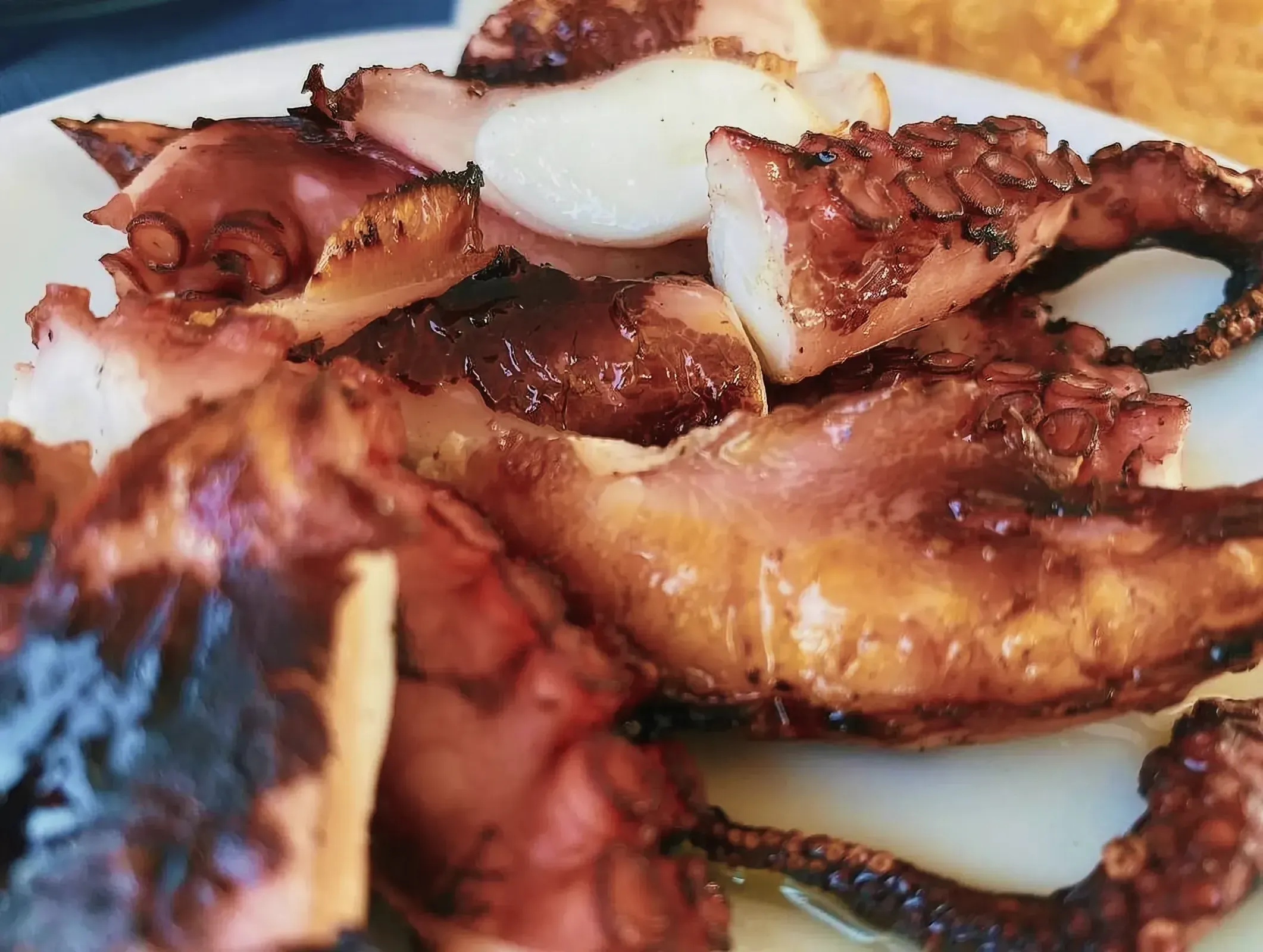 Close-up view of a plate of cooked octopus