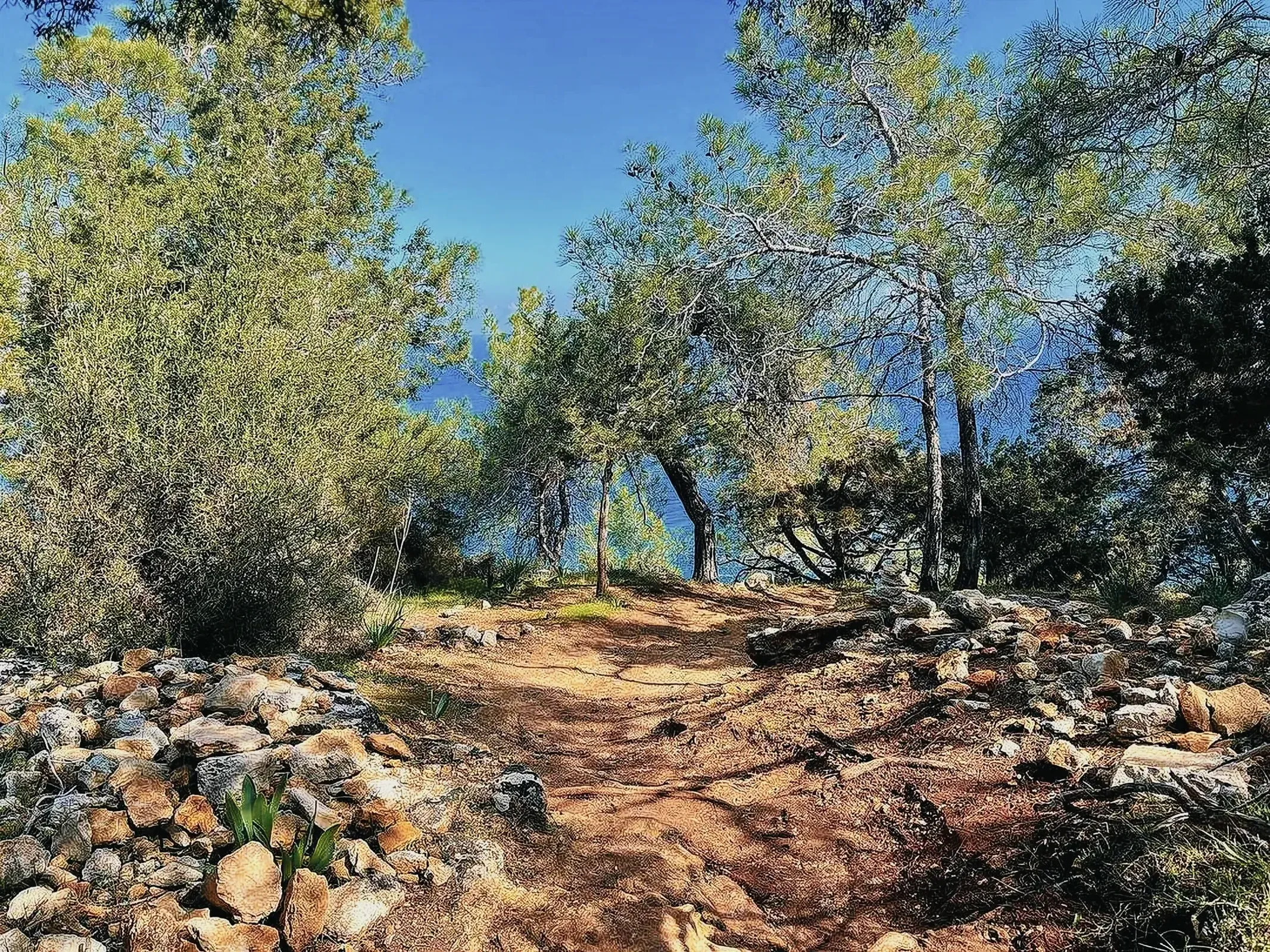 Tranquil outdoor landscape featuring a dirt path in Akamas National Park.