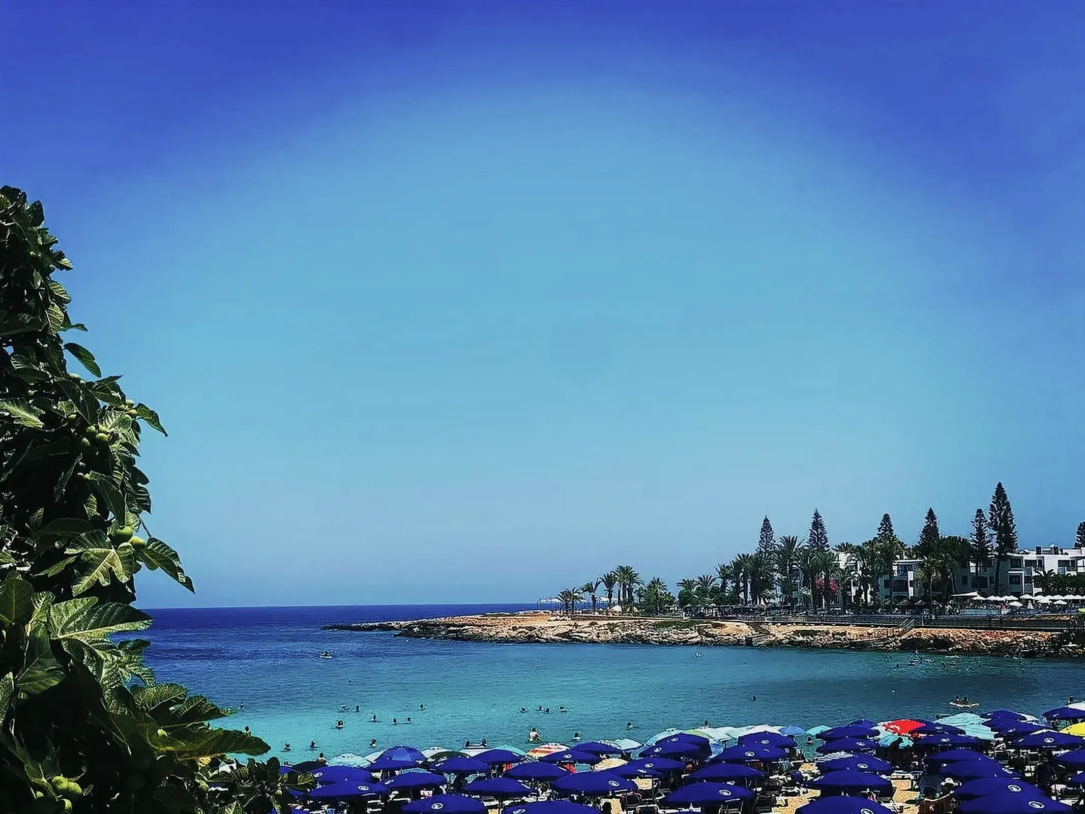 Tropical beach with azure waters and greenery in Protaras, Cyprus
