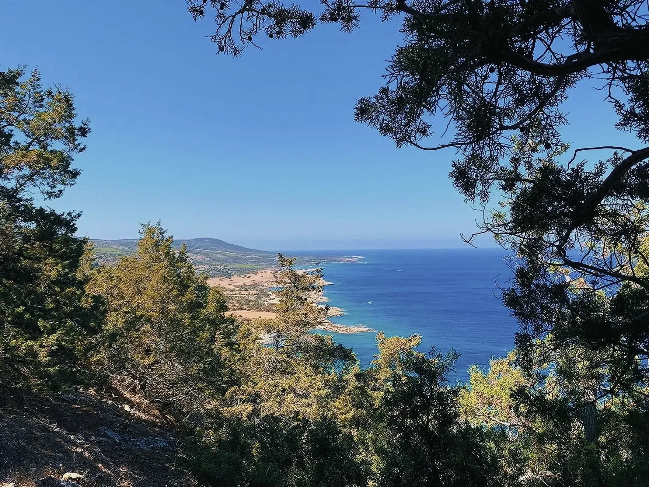 Stunning vista of Akamas National Park with a serene body of water and lush trees